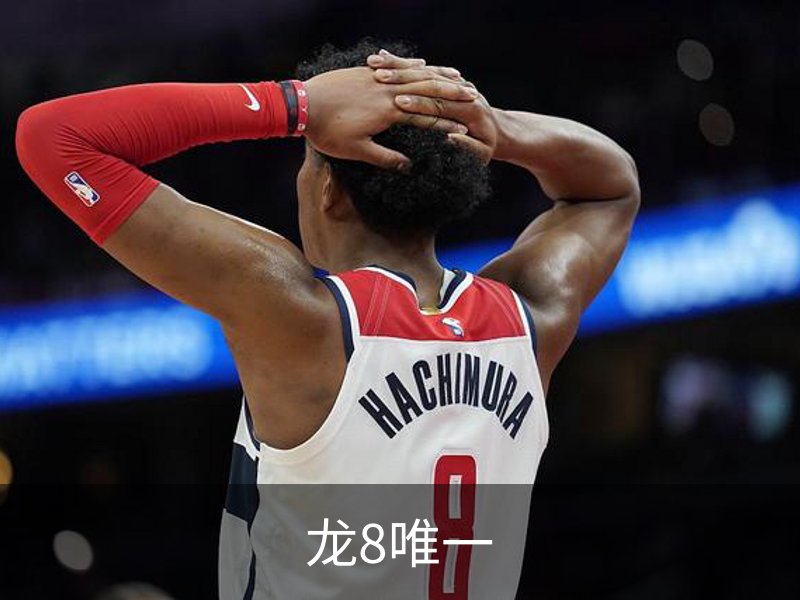 龙8唯一概况